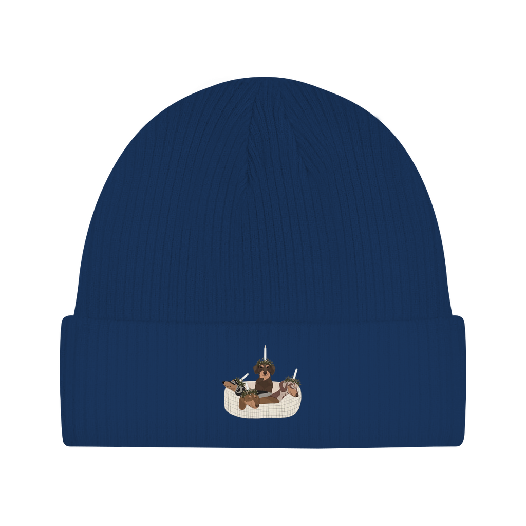 Beanie 16